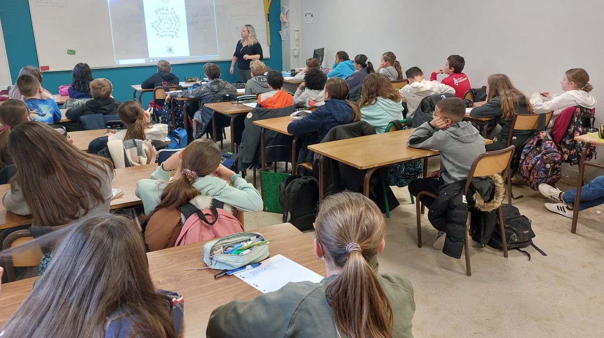 immersion CM2 6eme 2025